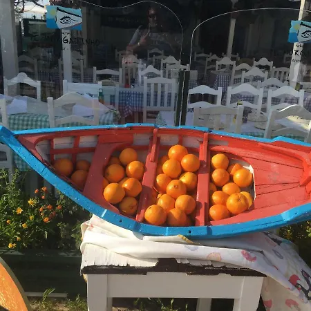 Apart Oceano, T1 Para Ferias Em شقة